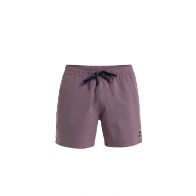 Afbeelding van Quiksilver Everyday Solid 15 Zwemshorts, Heren, Maat: Small, Pqc