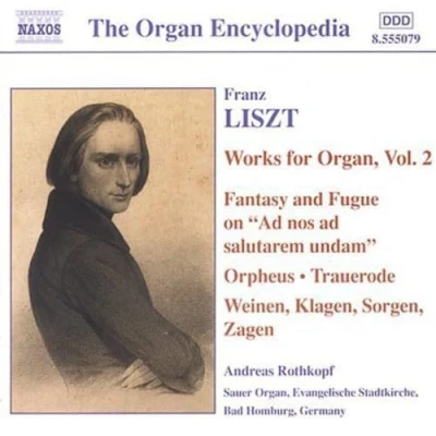 Afbeelding van Andreas (Sauer Orgel Stad Rothkopf Organ Works Volume 2 (CD)