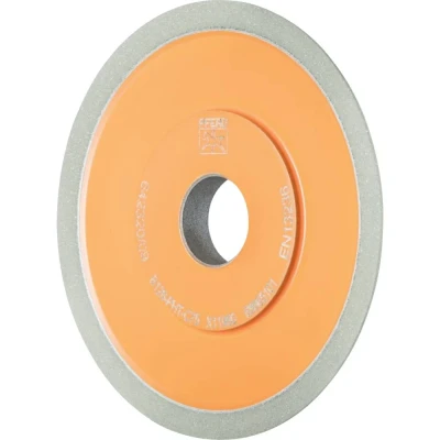 Afbeelding van PFERD 68665101 Schuurgereedschap Diameter 100 mm 1 stuk(s)