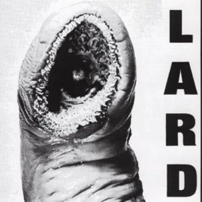 Afbeelding van The Power Of Lard