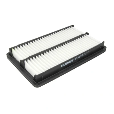 Afbeelding van Filtron Luchtfilter AP 102/2