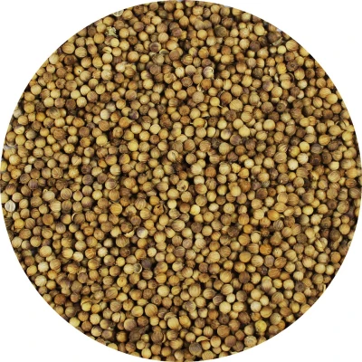 Afbeelding van Van Beekum Specerijen Koriander Heel 10 KG Zak (bulk verpakking)