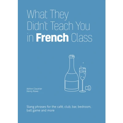 Afbeelding van What They Didn&#039;t Teach You in French Class: Slang Phrases for the Cafe, Club, Bar, Bedroom, Ball Game and More