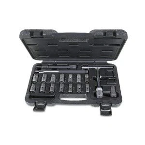 Afbeelding van Beta 960PI/C19 19 delig assortiment gereedschappen voor het reinigen van injectorzittingen 009600217