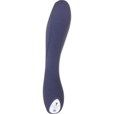 Afbeelding van Vibrator Evolved Blauw