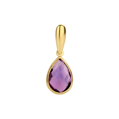 Afbeelding van Geelgouden Hanger amethyst 4017171