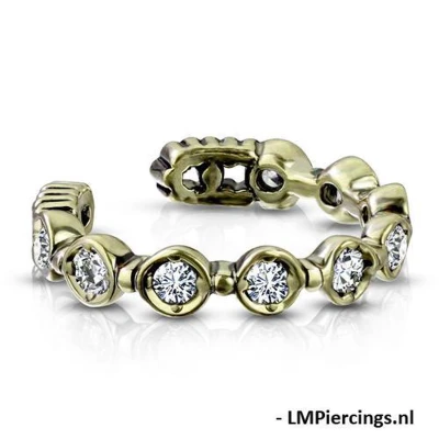 Afbeelding van Fake piercing 9 round CZ set goud kleur