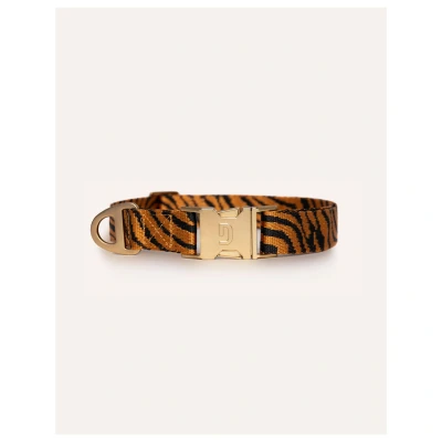 Afbeelding van Dogguo Zebra Collar Hondenhalsband M