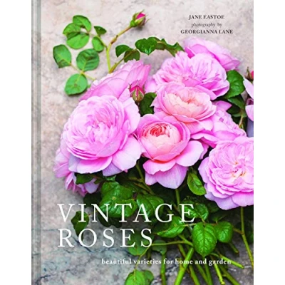 Afbeelding van Vintage Roses: Beautiful varieties for home and garden