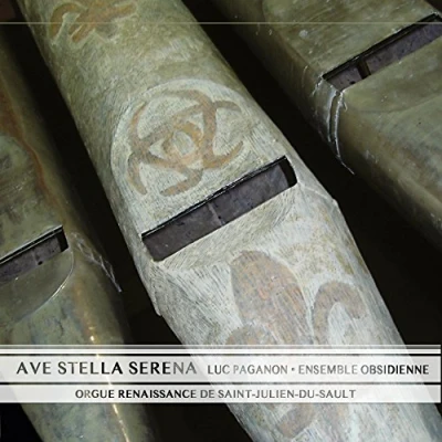 Afbeelding van Emmanuel Bonnardot, Ensemble Obsidienne, Luc Paganon Ave Stella Serena Orgue Renaissance De Saint Julien Du Sault (CD)