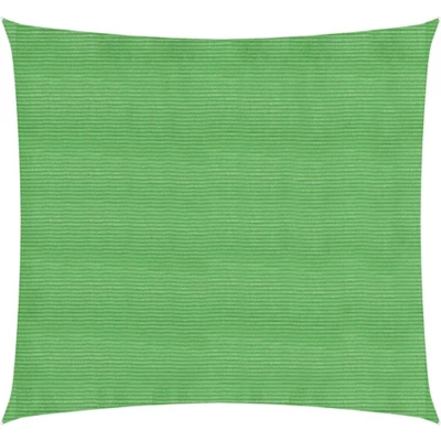 Afbeelding van vidaXL Zonnezeil 160 g/m² 4x4 m HDPE lichtgroen