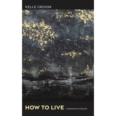Afbeelding van How To Live: A Memoir in Essays