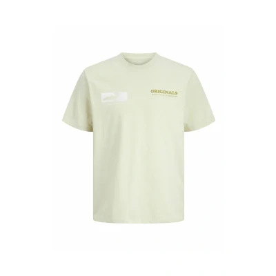 Afbeelding van Jack &amp; Jones Rundhalsausschnitt Tshirt print, Heren, Maat: Small, Celadon tint