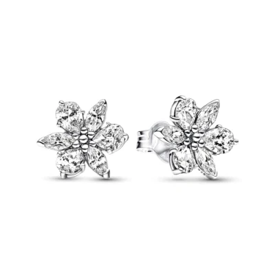 Afbeelding van Pandora 292633C01 Oorknoppen Sparkling Herbarium Cluster