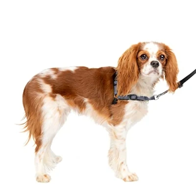 Afbeelding van PetSafe Easy Walk Deluxe hondenharnas, trekontlasting, perfect voor linnen en harnas, voorkomt trekken verstikken, maat S, staalgrijs