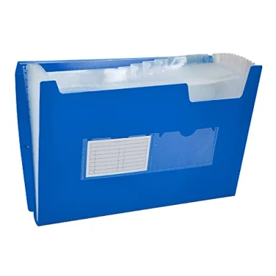 Afbeelding van Liderpapel 32112 sorteermap van polypropyleen DIN A4 blauw transparant 13 vakken