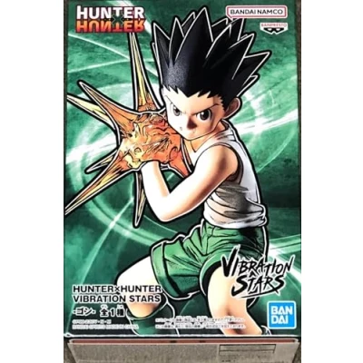 Afbeelding van Hunter X Vibration Stars Figure Gon