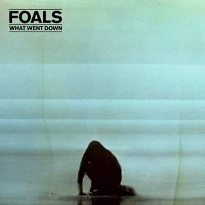 Afbeelding van Foals What Went Down
