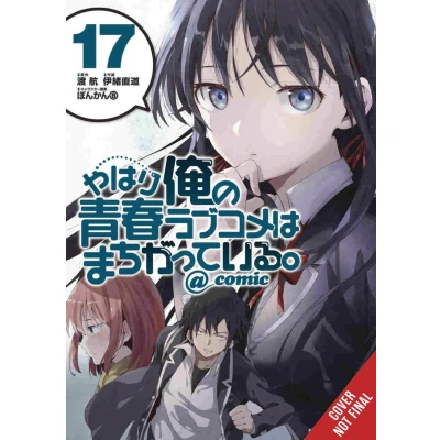 Afbeelding van YOUTH ROMANTIC COMEDY WRONG EXPECTED 17: Volume 17