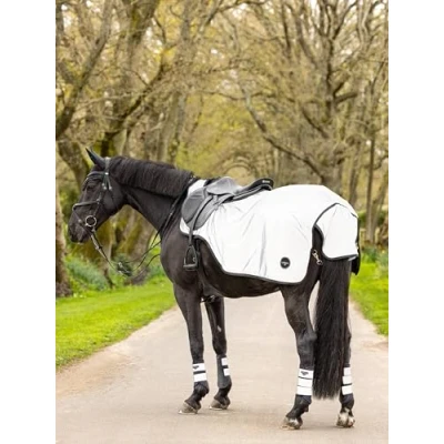 Afbeelding van LeMieux Deken Exercise Reflectie Blauw L