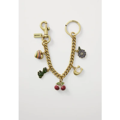 Afbeelding van Coach Motif Chain BAG Charm Sleutelhanger, Dames, Maat: One Size, Multi