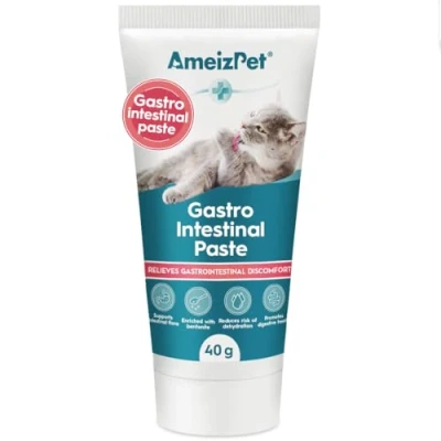 Afbeelding van AmeizPet Gastro Intestinale pasta voor katten, ondersteuning van de darmgezondheid en darmflora, spijsverteringsondersteunend supplement katten kittens, 40 g
