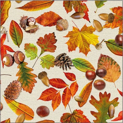 Afbeelding van Ambiente servetten 20 stuks autumn festival