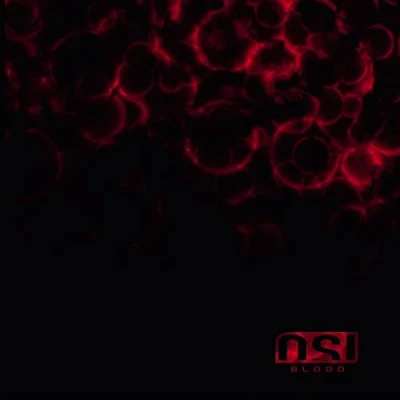 Afbeelding van Osi Blood (2 LPs)