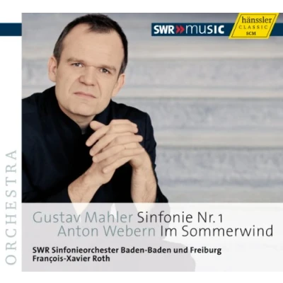 Afbeelding van SWR Sinfonieorchester Baden Und Freiburg Symphony No.21/Im Sommerwind (CD)