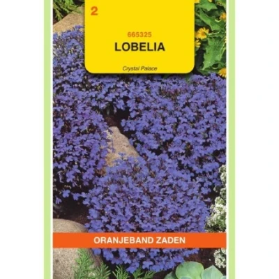 Afbeelding van Lobelia crystal palace