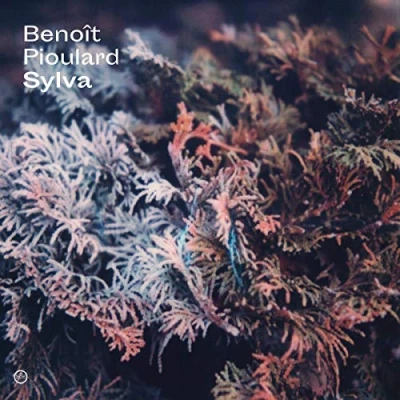 Afbeelding van Benoit Pioulard Sylva (CD)