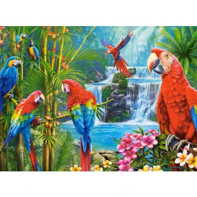 Afbeelding van Castorland Parrot Meeting 2000 Teile.