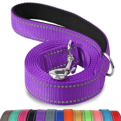 Afbeelding van Joytale Hondenriem met gevoerd handvat, dubbelzijdige reflecterende nylon hondenlijnen voor training, wandelriem kleine, middelgrote honden, 1,8 m x 2 cm, paars