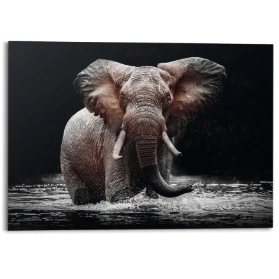 Afbeelding van Schilderij Olifant 100x140 cm Zwart Hout