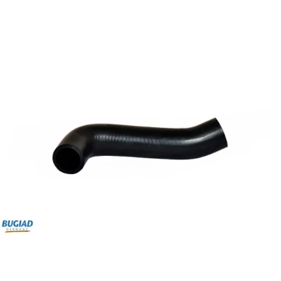 Afbeelding van Laadluchtslang BUGIAD 82644