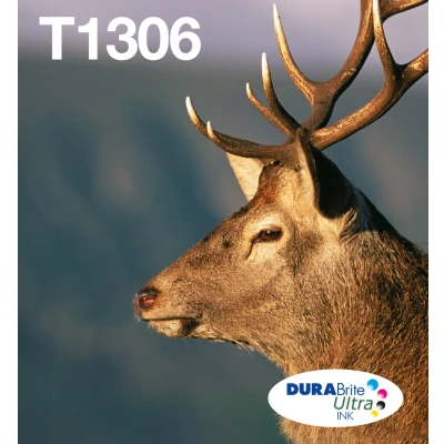 Afbeelding van Epson T1306 Inktcartridge / Multipack Kleur