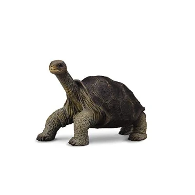 Afbeelding van Collecta Wilde Dieren Galapagosreuzenschildpad 8.1 X 5 Cm