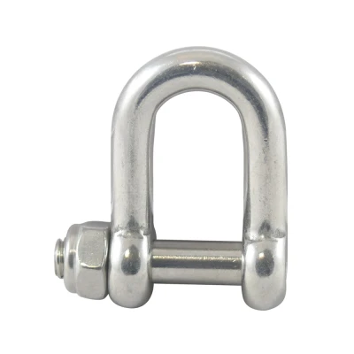 Afbeelding van RVS D sluiting met binnenzeskant en borgmoer 6 mm 316