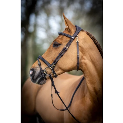 Afbeelding van LeMieux Work hoofdstel