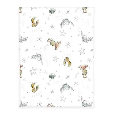 Afbeelding van HERDING Microvezel fleecedeken Harry Potter Tovenaar in opleiding 75 x 100 cm
