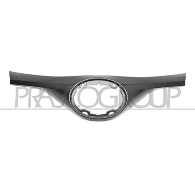 Afbeelding van Frame, radiateurgrille PRASCO TY7002305