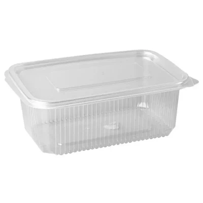 Afbeelding van Saladebakken met Vaste Deksel + 1000cc PP Rechthoek Transparant 73 x 130 190mm