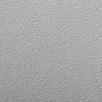Afbeelding van Clairefontaine Ref 93767C Etival Gekleurd korrelig tekenpapier (24 vellen papier) 50 x 65cm 160gsm Cellulose Art Paper Grijs Zuurvrij, pH Neutraal