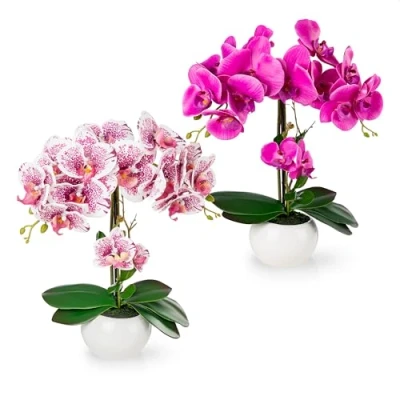 Afbeelding van PASCH® Set van 2 kunstorchideeën in keramische potten met hoogglans (40 cm) kunstbloemen pot als echt orchidee