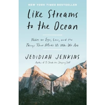 Afbeelding van Like Streams to the Ocean: Notes on Ego, Love, and Things That Make Us Who We Are: Essaysc