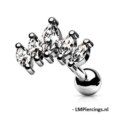 Afbeelding van Piercing Graduated set wit 6mm