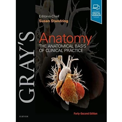 Afbeelding van Gray&#039;s Anatomy
