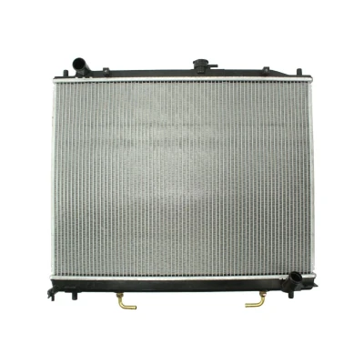 Afbeelding van Thermotec Radiateur D75012TT