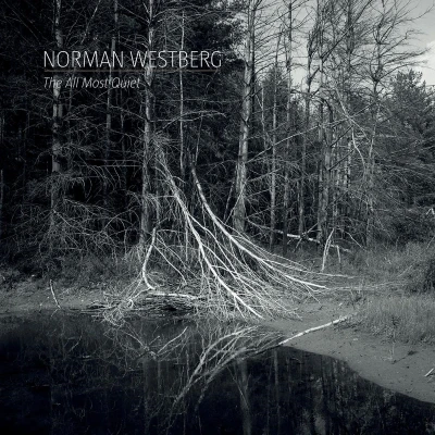 Afbeelding van Norman Westberg The All Most Quiet (LP)