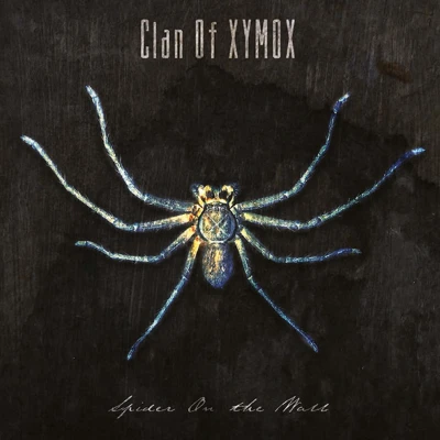 Afbeelding van Clan Of Xymox Spider On The Wall (CD)